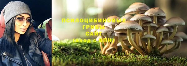соль курить ск Алзамай