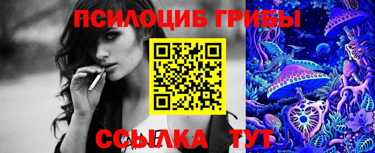 Тюмень  Псилоцибиновые грибы мухоморы  Вход с VPN 