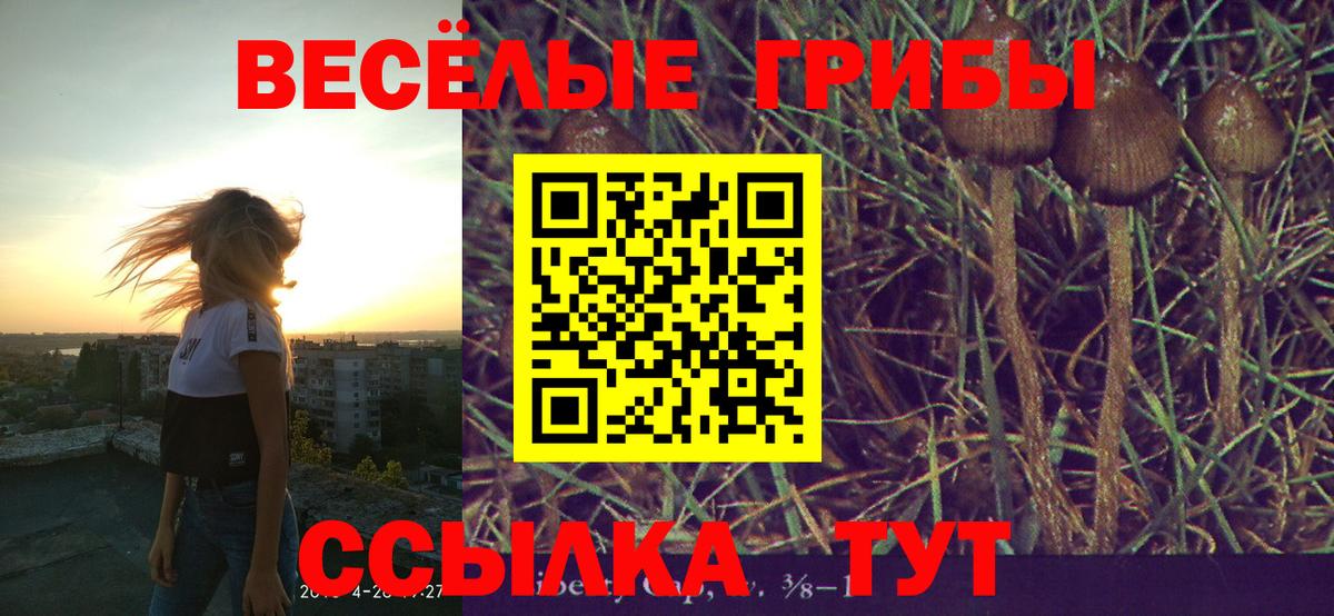 Галлюциногенные грибы прущие грибы Тюмень