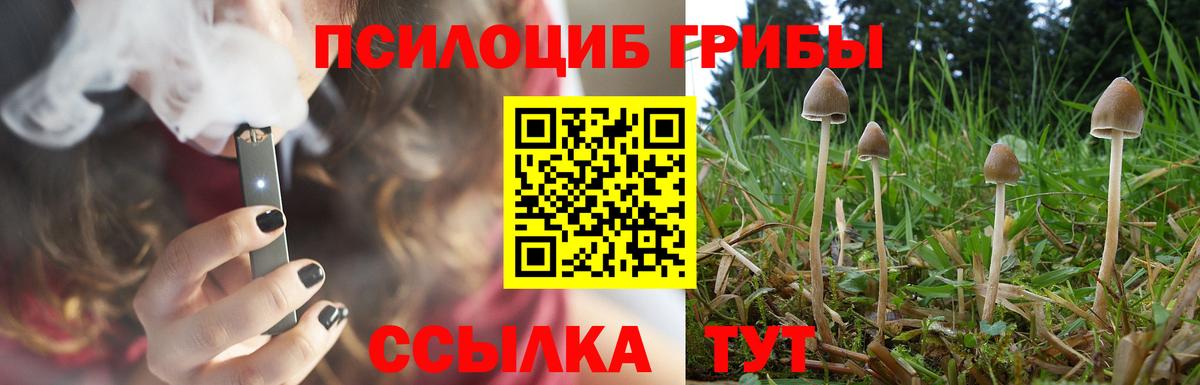 LSD-25  ГАШ  Тюмень  Вход с VPN  Бошки Шишки  Меф МЯУ МЯУ   Метамфетамин 